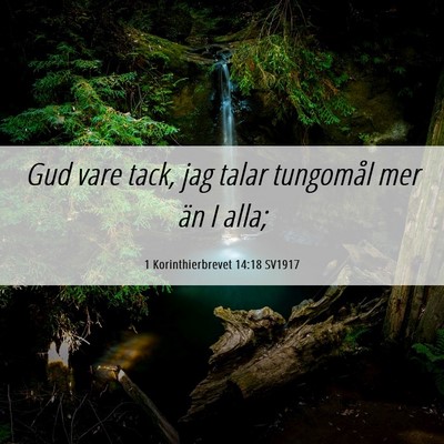 Picture 06 - 1 Korinthierbrevet 14:18 SV1917 - Gud vare tack, jag talar tungomål mer än I - Bible Verse Picture