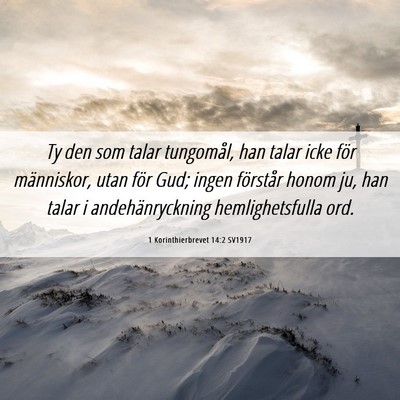 Picture 06 - 1 Korinthierbrevet 14:2 SV1917 - Ty den som talar tungomål, han talar icke för - Bible Verse Picture