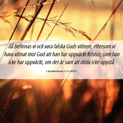 Picture 06 - 1 Korinthierbrevet 15:15 SV1917 - då befinnas vi ock vara falska Guds vittnen, - Bible Verse Picture