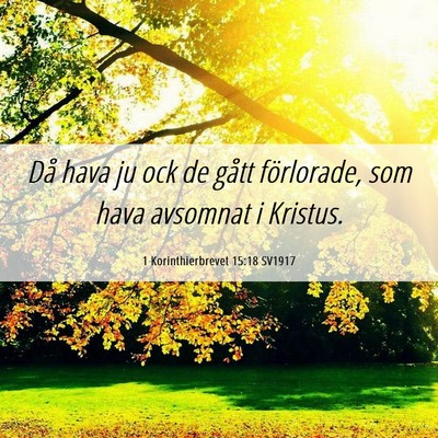 Picture 06 - 1 Korinthierbrevet 15:18 SV1917 - Då hava ju ock de gått förlorade, som hava - Bible Verse Picture