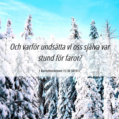 Picture 06 - 1 Korinthierbrevet 15:30 SV1917 - Och varför undsätta vi oss själva var stund - Bible Verse Picture