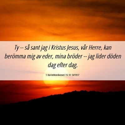 Picture 06 - 1 Korinthierbrevet 15:31 SV1917 - Ty -- så sant jag i Kristus Jesus, vår Herre, - Bible Verse Picture