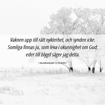 Picture 06 - 1 Korinthierbrevet 15:34 SV1917 - Vaknen upp till rätt nykterhet, och synden icke. - Bible Verse Picture