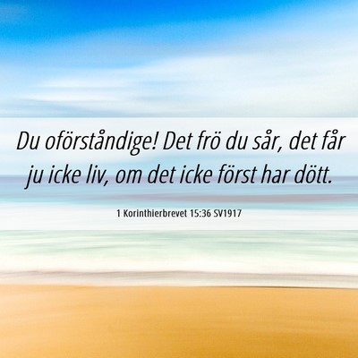 Picture 06 - 1 Korinthierbrevet 15:36 SV1917 - Du oförståndige! Det frö du sår, det får ju - Bible Verse Picture