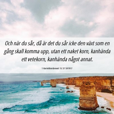 Picture 06 - 1 Korinthierbrevet 15:37 SV1917 - Och när du sår, då är det du sår icke den - Bible Verse Picture