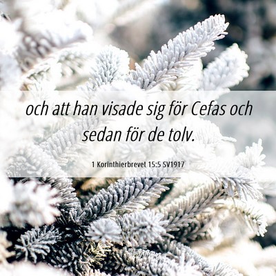 Picture 06 - 1 Korinthierbrevet 15:5 SV1917 - och att han visade sig för Cefas och sedan för - Bible Verse Picture