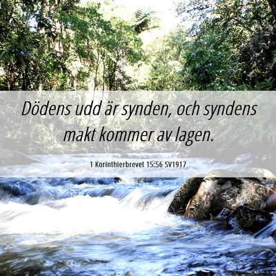 Picture 06 - 1 Korinthierbrevet 15:56 SV1917 - Dödens udd är synden, och syndens makt kommer - Bible Verse Picture