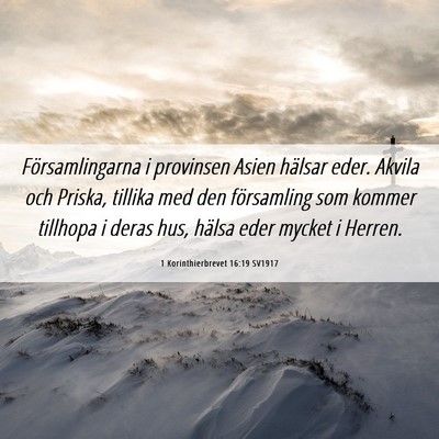 Picture 06 - 1 Korinthierbrevet 16:19 SV1917 - Församlingarna i provinsen Asien hälsar eder. - Bible Verse Picture