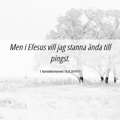Picture 06 - 1 Korinthierbrevet 16:8 SV1917 - Men i Efesus vill jag stanna ända till - Bible Verse Picture