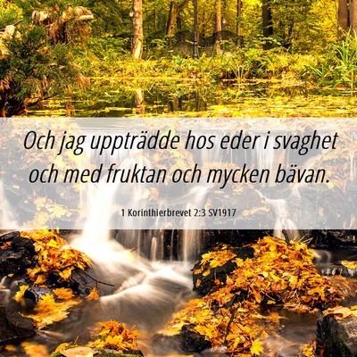 Picture 06 - 1 Korinthierbrevet 2:3 SV1917 - Och jag uppträdde hos eder i svaghet och med - Bible Verse Picture
