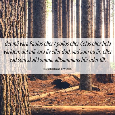 Picture 06 - 1 Korinthierbrevet 3:22 SV1917 - det må vara Paulus eller Apollos eller Cefas - Bible Verse Picture