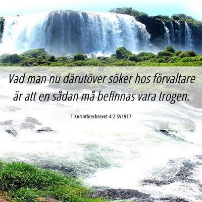 Picture 06 - 1 Korinthierbrevet 4:2 SV1917 - Vad man nu därutöver söker hos förvaltare är - Bible Verse Picture