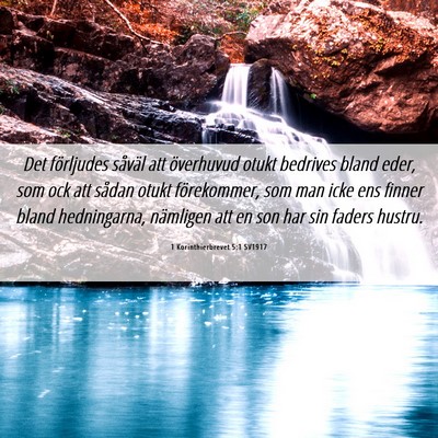 Picture 06 - 1 Korinthierbrevet 5:1 SV1917 - Det förljudes såväl att överhuvud otukt - Bible Verse Picture