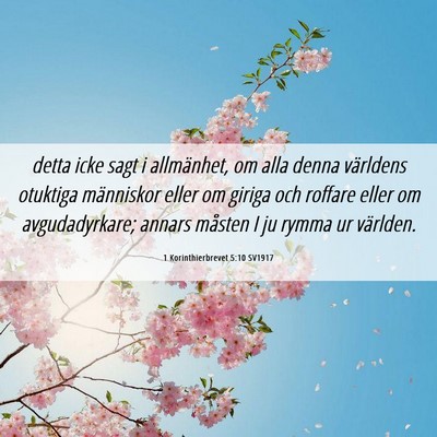 Picture 06 - 1 Korinthierbrevet 5:10 SV1917 - detta icke sagt i allmänhet, om alla denna - Bible Verse Picture