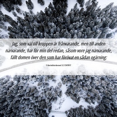 Picture 06 - 1 Korinthierbrevet 5:3 SV1917 - Jag, som väl till kroppen är frånvarande, men - Bible Verse Picture