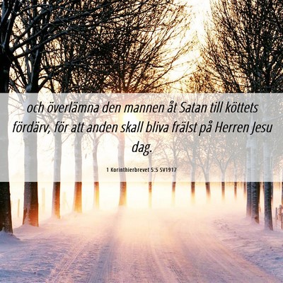 Picture 06 - 1 Korinthierbrevet 5:5 SV1917 - och överlämna den mannen åt Satan till - Bible Verse Picture
