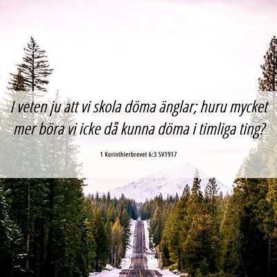 Picture 06 - 1 Korinthierbrevet 6:3 SV1917 - I veten ju att vi skola döma änglar; huru - Bible Verse Picture