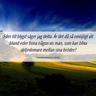 Picture 06 - 1 Korinthierbrevet 6:5 SV1917 - Eder till blygd säger jag detta. Är det då så - Bible Verse Picture