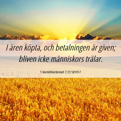 Picture 06 - 1 Korinthierbrevet 7:23 SV1917 - I ären köpta, och betalningen är given; bliven - Bible Verse Picture