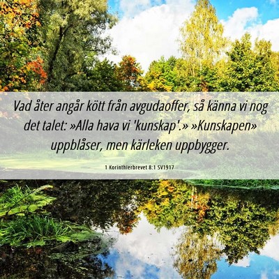 Picture 06 - 1 Korinthierbrevet 8:1 SV1917 - Vad åter angår kött från avgudaoffer, så - Bible Verse Picture