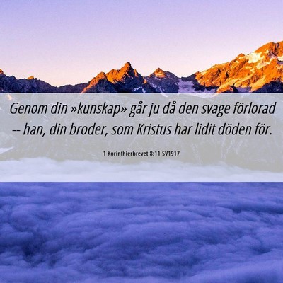 Picture 06 - 1 Korinthierbrevet 8:11 SV1917 - Genom din »kunskap» går ju då den svage - Bible Verse Picture