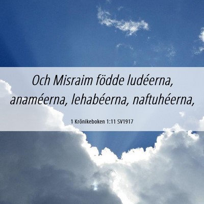 Picture 06 - 1 Krönikeboken 1:11 SV1917 - Och Misraim födde ludéerna, anaméerna, - Bible Verse Picture