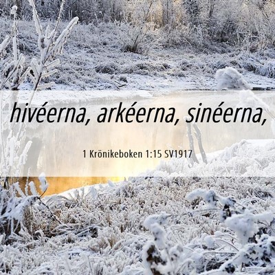 Picture 06 - 1 Krönikeboken 1:15 SV1917 - hivéerna, arkéerna, - Bible Verse Picture