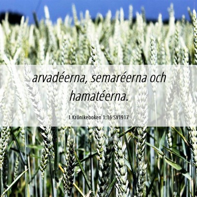 Picture 06 - 1 Krönikeboken 1:16 SV1917 - arvadéerna, semaréerna och - Bible Verse Picture