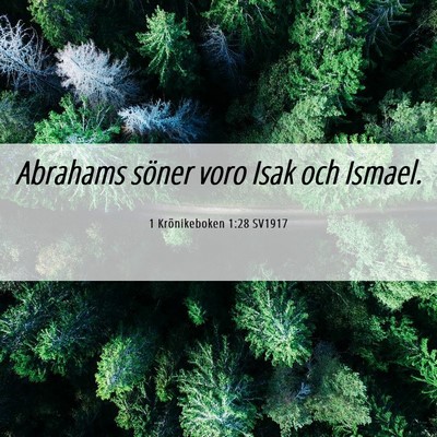 Picture 06 - 1 Krönikeboken 1:28 SV1917 - Abrahams söner voro Isak och - Bible Verse Picture