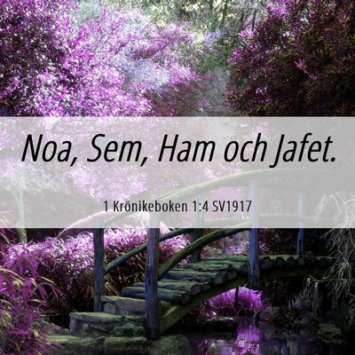 Picture 06 - 1 Krönikeboken 1:4 SV1917 - Noa, Sem, Ham och - Bible Verse Picture