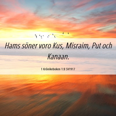 Picture 06 - 1 Krönikeboken 1:8 SV1917 - Hams söner voro Kus, Misraim, Put och - Bible Verse Picture