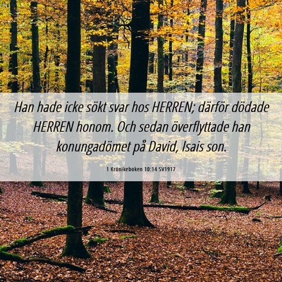 Picture 06 - 1 Krönikeboken 10:14 SV1917 - Han hade icke sökt svar hos HERREN; därför - Bible Verse Picture