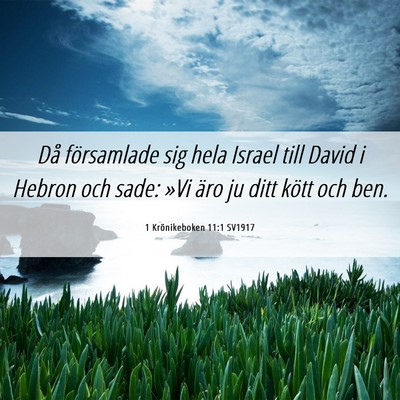 Picture 06 - 1 Krönikeboken 11:1 SV1917 - Då församlade sig hela Israel till David i - Bible Verse Picture