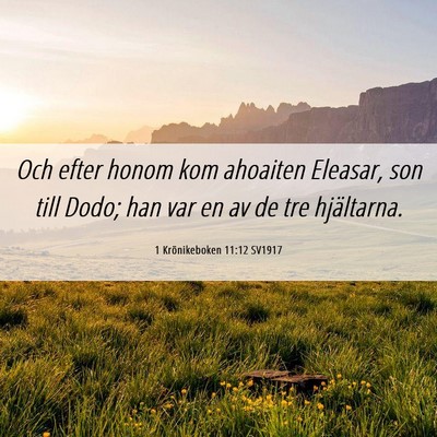 Picture 06 - 1 Krönikeboken 11:12 SV1917 - Och efter honom kom ahoaiten Eleasar, son till - Bible Verse Picture