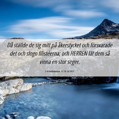 Picture 06 - 1 Krönikeboken 11:14 SV1917 - Då ställde de sig mitt på åkerstycket och - Bible Verse Picture