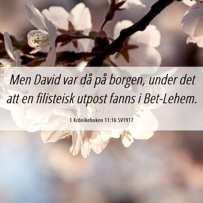 Picture 06 - 1 Krönikeboken 11:16 SV1917 - Men David var då på borgen, under det att en - Bible Verse Picture