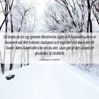 Picture 06 - 1 Krönikeboken 11:18 SV1917 - Då bröto de tre sig igenom filistéernas läger - Bible Verse Picture