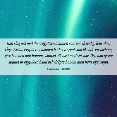 Picture 06 - 1 Krönikeboken 11:23 SV1917 - Han slog ock ned den egyptiske mannen som var så - Bible Verse Picture