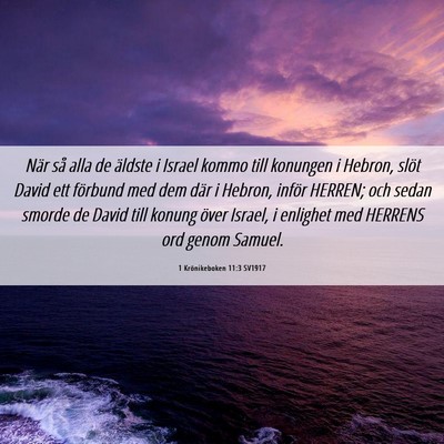 Picture 06 - 1 Krönikeboken 11:3 SV1917 - När så alla de äldste i Israel kommo till - Bible Verse Picture