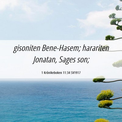 Picture 06 - 1 Krönikeboken 11:34 SV1917 - gisoniten Bene-Hasem; harariten Jonatan, Sages - Bible Verse Picture