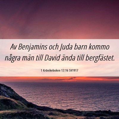 Picture 06 - 1 Krönikeboken 12:16 SV1917 - Av Benjamins och Juda barn kommo några män till - Bible Verse Picture