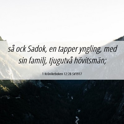 Picture 06 - 1 Krönikeboken 12:28 SV1917 - så ock Sadok, en tapper yngling, med sin familj, - Bible Verse Picture