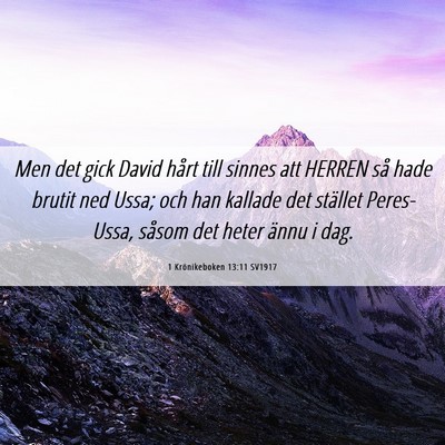 Picture 06 - 1 Krönikeboken 13:11 SV1917 - Men det gick David hårt till sinnes att HERREN - Bible Verse Picture