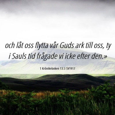 Picture 06 - 1 Krönikeboken 13:3 SV1917 - och låt oss flytta vår Guds ark till oss, ty i - Bible Verse Picture