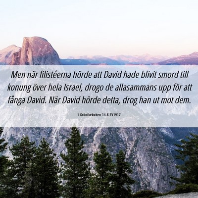 Picture 06 - 1 Krönikeboken 14:8 SV1917 - Men när filistéerna hörde att David hade - Bible Verse Picture
