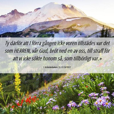 Picture 06 - 1 Krönikeboken 15:13 SV1917 - Ty därför att I förra gången icke voren - Bible Verse Picture
