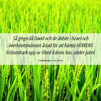 Picture 06 - 1 Krönikeboken 15:25 SV1917 - Så gingo då David och de äldste i Israel och - Bible Verse Picture