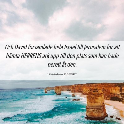 Picture 06 - 1 Krönikeboken 15:3 SV1917 - Och David församlade hela Israel till Jerusalem - Bible Verse Picture
