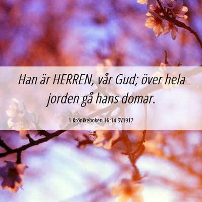 Picture 06 - 1 Krönikeboken 16:14 SV1917 - Han är HERREN, vår Gud; över hela jorden gå - Bible Verse Picture