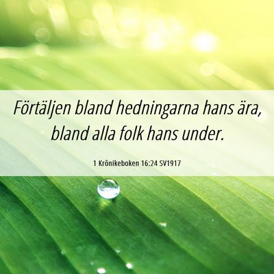 Picture 06 - 1 Krönikeboken 16:24 SV1917 - Förtäljen bland hedningarna hans ära, bland - Bible Verse Picture